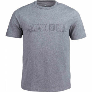 Calvin Klein SHORT SLEEVE T-SHIRT Pánske tričko, sivá, veľkosť M