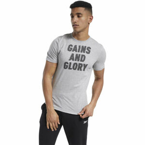 Reebok GS OPP TEE GRAPHIC Pánske tričko, sivá, veľkosť XL